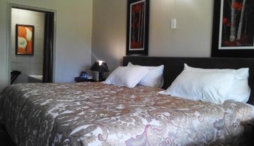 Deluxe Double or Twin Room with Pool Access
