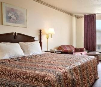 King Room with Sofa Bed