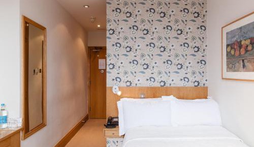Superior Single Room
