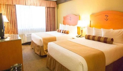 Queen Room with Two Queen Beds - Non-Smoking