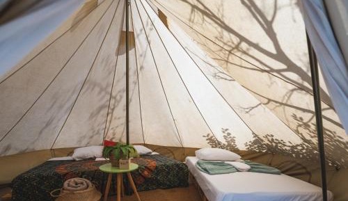 Large Tent