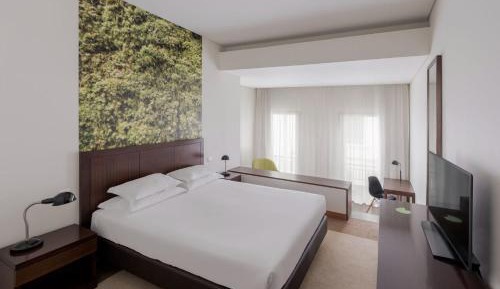 Double or Twin Room with Extra Bed
