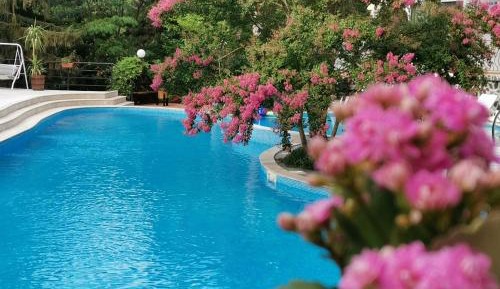 Twin Room with Balcony with Pool View
