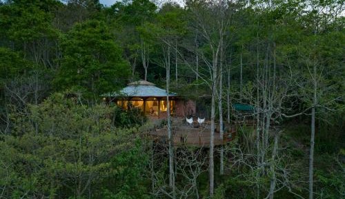 Deluxe Bungalow