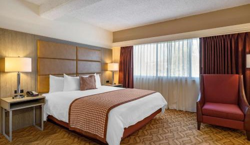 King Suite with Sofa Bed and Balcony