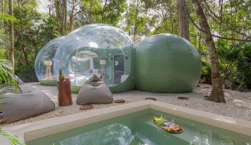 Bubble Suite Premium with jungle view