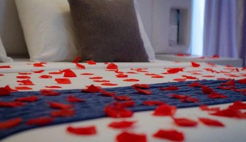 Twin/Double Room