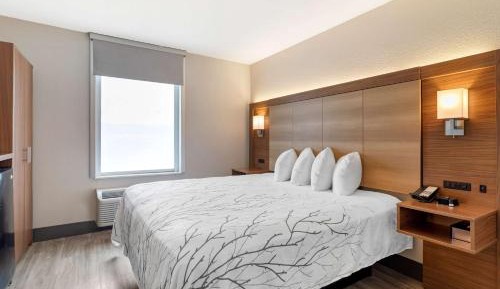 King Room with Roll-In Shower - Disability Access