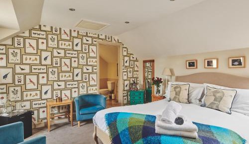 Superior King Room