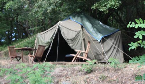 Tent