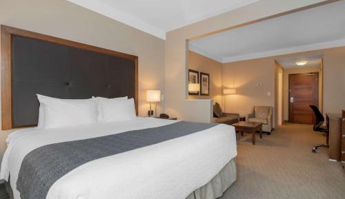 King Room with Sofa Bed and Roll-In Shower - Mobility Accessible