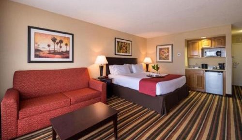 Premium King Room with Sofa Bed