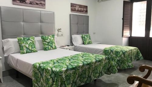 Double or Twin Room