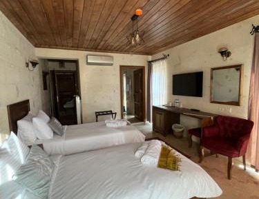 Deluxe Double or Twin Room with Garden View