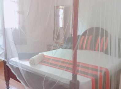 King Room with Garden View
