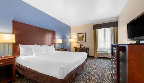 King Suite with Sofa Bed