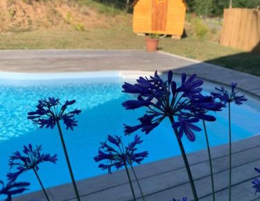 Double Room with Pool View