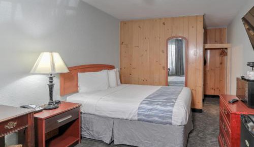 Single Queen Room