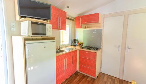 Mobile Home