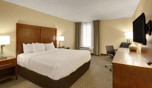 King Room Pet Friendly - Accessible/Non-Smoking