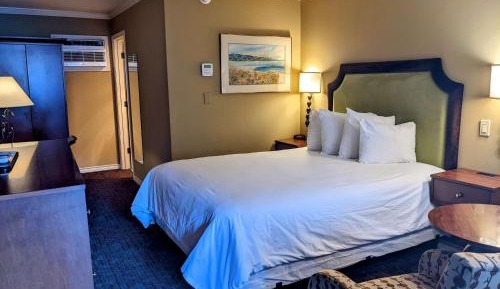 Queen Suite - Pet Friendly