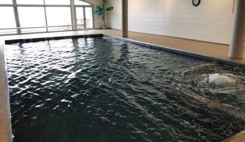 Apartment (4 Adults)