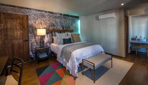 Junior Suite with Terrace