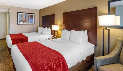 Queen Room with Two Queen Beds - Non-Smoking