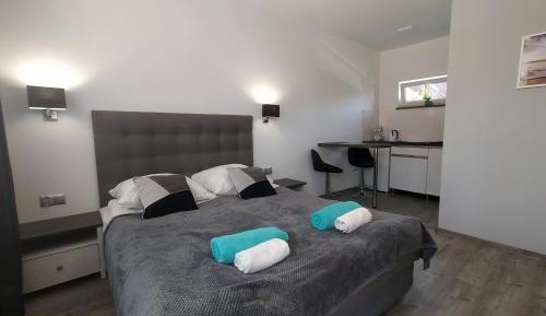 Deluxe Double Room (2 Adults + 1 Child)