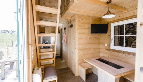 Mobile Home