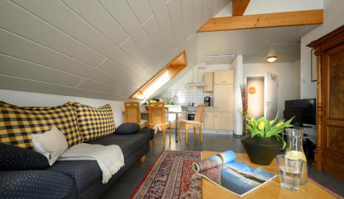Superior One-Bedroom Apartment