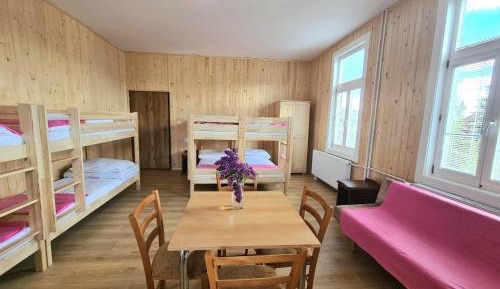 Bed in 8-Bed Dormitory Room