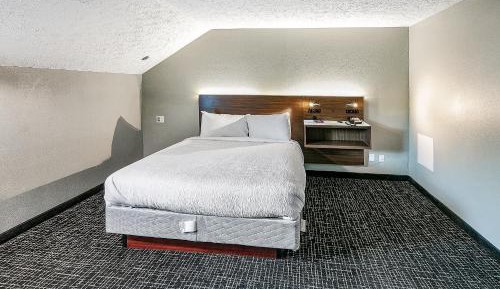Standard Queen Room