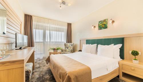Double Standard Room with Balcony and Danube View