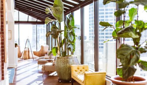 Penthouse Apartment