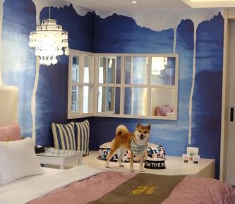 Standard Double Room with Garage