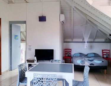 Studio with Garden View