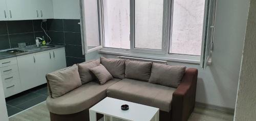 Family Studio
