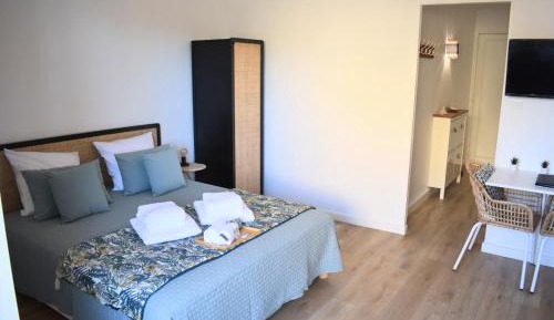 Studio Apartment