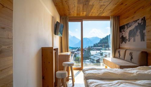 Superior Double or Twin Room with Mountain View