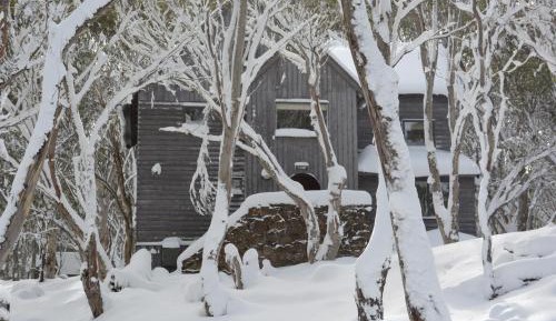 Four-Bedroom Chalet - Tyee