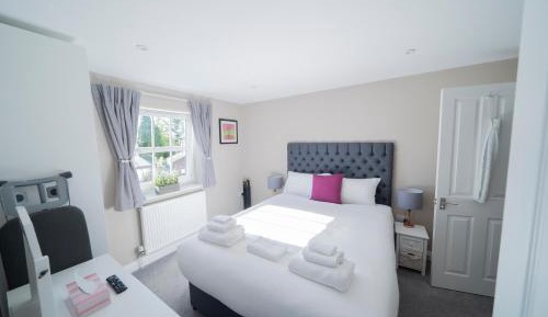Standard One-Bedroom Apartment
