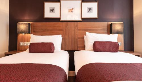Standard Twin Room