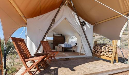 Stargazer Tent 