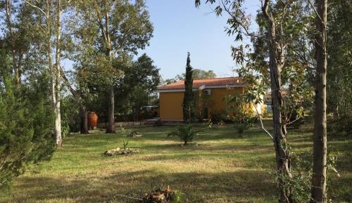 Holiday Home