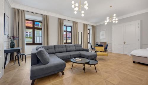 Superior Apartment 210
