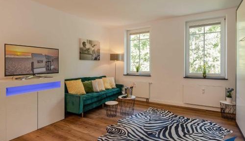 One-Bedroom Apartment with Shower