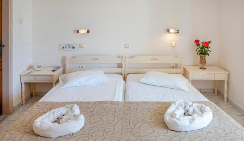 Ground Floor Standard Twin Room