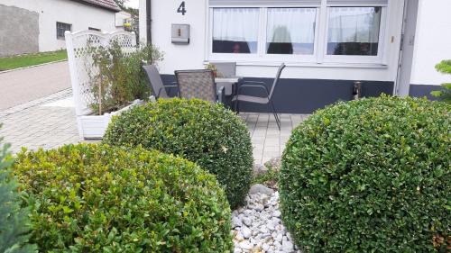Apartment with Garden View