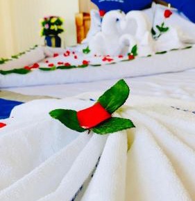 Deluxe Single Room with Balcony